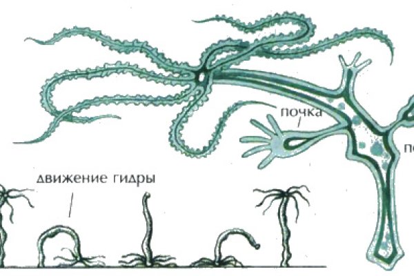 Кракен лег