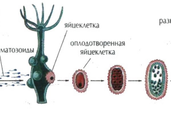 Ссылка на кракен kr2web in