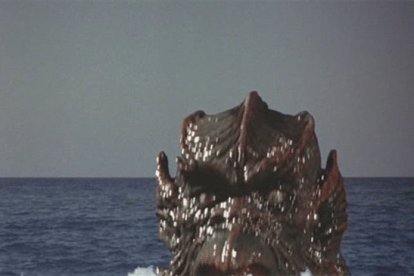 Vk kraken
