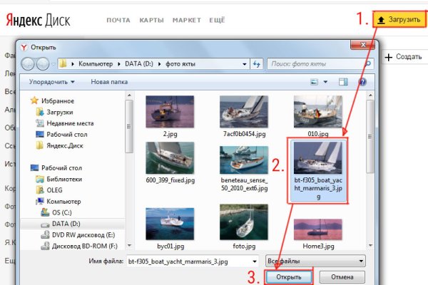 Гидра и кракен