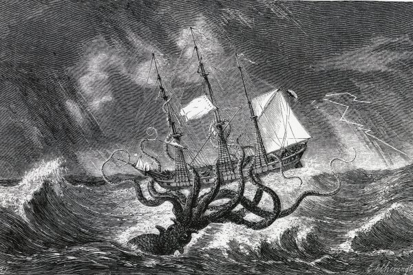 Kraken даркнет переходник