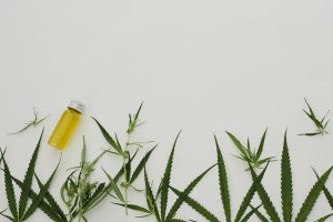 Не заходит на кракен